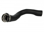 kompresoriaus padavimo žarna THERMOTEC DCX032TT