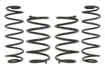 Žeminanti spyruoklė (30/30 mm) Pro-Kit (4 vnt.) E10-75-002-04-22
