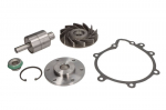 remonto komplektas, vandens siurblys DT SPARE PARTS 3.90606