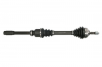 pusa&scaron;is PASCAL G2P050PC