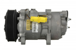 Kondicionieriaus kompresorius 10-0154