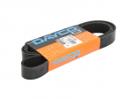 V formos rumbuoti diržai DAYCO DAY8PK1612HD