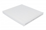 Salono filtras WIX FILTERS WP10142WIX