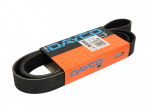V formos rumbuoti diržai DAYCO DAY8PK1630HD