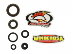 Variklio riebok&scaron;lių kompl. WINDEROSA Tinka: KTM 65