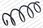 Pakabos spyruoklė LS4088946