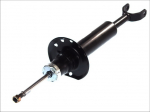 Amortizatorius AGW055MT