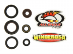 Variklio riebok&scaron;lių kompl. WINDEROSA Tinka: KTM 250, 250 4T