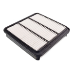 Oro filtras BLUE PRINT ADC42249