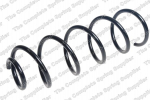 Pakabos spyruoklė LS4215654