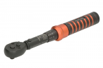 Dinamometrinis įrankis 1/4'' PROFITOOL 0X534N116