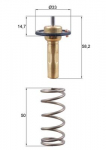 termostatas, au&scaron;inimo skystis MAHLE TX 265 89D