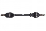 pusa&scaron;is POINT GEAR PNG74754