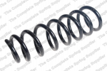 Pakabos spyruoklė LS4008549