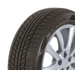 Padanga žieminė SW608 185/65R15 88H