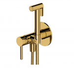 Bidė du&scaron;elio ir potinkinio mai&scaron;ytuvo komplektas Omnires Y, aukso