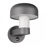 Sieninis lauko &scaron;viestuvas (auk&scaron;tis 24,5 cm) Fraser &ndash; Trio