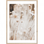 Paveikslas 50x70 cm Beige I &ndash; Styler