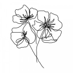 Plakatas 29x41 cm Black Poppy &ndash; Veronika Boulov&aacute;