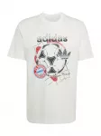 ADIDAS PERFORMANCE Sportiniai mar&scaron;kinėliai 'FC Bayern Muenchen Seasonal Graphic' mėlyna / raudona / juoda / balta