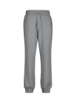 GANT Kelnės 'Reg Tonal Shield' pilka