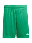 ADIDAS PERFORMANCE Sportinės kelnės 'Entrada26' žalia / balta