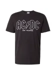 AMPLIFIED Mar&scaron;kinėliai 'AC/DC - History Of A Tee' mi&scaron;rios spalvos / juoda