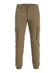 JACK & JONES Laisvo stiliaus kelnės 'JJIPAUL JJFLAKE' &scaron;viesiai ruda