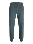 JACK & JONES Kelnės 'JPSTGORDON' &scaron;viesiai mėlyna / pilka / juoda