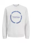 JACK & JONES Megztinis be užsegimo 'JJBenson' mėlyna / margai balta