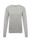 TOMMY HILFIGER Megztinis 'Classic' margai pilka