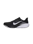 NIKE Bėgimo batai 'Pegasus 42' juoda / balta