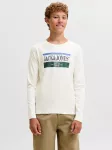 Jack & Jones Junior Mar&scaron;kinėliai 'JORFrederiksberg' tamsiai mėlyna jūros spalva / sodri mėlyna (&bdquo;karali&scaron;ka&ldquo;) / tamsiai žalia / balk&scaron;va