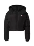 Tommy Jeans Žieminė striukė 'ALASKA' juoda
