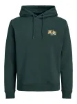 JACK & JONES Megztinis be užsegimo 'JJAERO' geltona / tamsiai žalia / balta