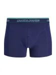 JACK & JONES Boxer trumpikės 'JACAaron' tamsiai mėlyna / žalia / juoda / balta