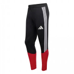 ADIDAS PERFORMANCE Sportinės kelnės 'Deutschland 26 Tiro' raudona / juoda / balta