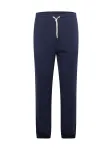SCOTCH & SODA Kelnės tamsiai mėlyna