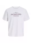 Jack & Jones Junior Mar&scaron;kinėliai 'JORFREDERIKSBERG' &scaron;okolado spalva / balta