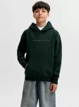 Jack & Jones Junior Megztinis be užsegimo 'JJEStar' tamsiai žalia / balta