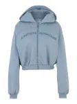 UNDER ARMOUR Sportinis džemperis 'Icon Wordmark' opalo / melsvai pilka