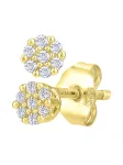 DIAMANT LETERNEL Auskarai auksas