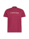 Calvin Klein Mar&scaron;kinėliai burgundi&scaron;ko vyno spalva / balta