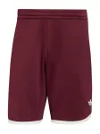 ADIDAS PERFORMANCE Sportinės kelnės 'Classics' vyno raudona spalva / balta