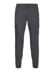 JACK & JONES Laisvo stiliaus kelnės 'JJIPaul JJFlake' tamsiai pilka