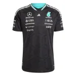 ADIDAS PERFORMANCE Sportiniai mar&scaron;kinėliai 'Mercedes - Amg Petronas Formula 1 Team Driver' vandens spalva / juoda / balta