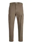 JACK & JONES Laisvo stiliaus kelnės 'JPSTKane Frank' brokato spalva