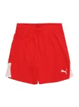 PUMA Sportinės kelnės 'TeamLIGA26' raudona / balta