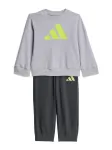 ADIDAS SPORTSWEAR Treniruočių kostiumas 'ESSENTIALS' antracito spalva / &scaron;viesiai pilka / obuolių spalva