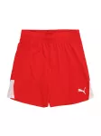 PUMA Sportinės kelnės 'TeamLIGA26' raudona / balta